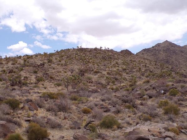 1.16 Acres for Sale in Dolan Springs, Arizona