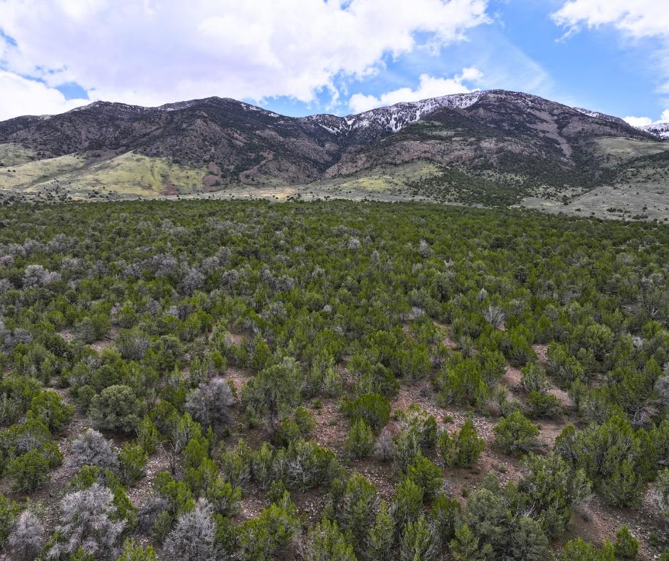 10 Acres for Sale in West Wendover, Nevada
