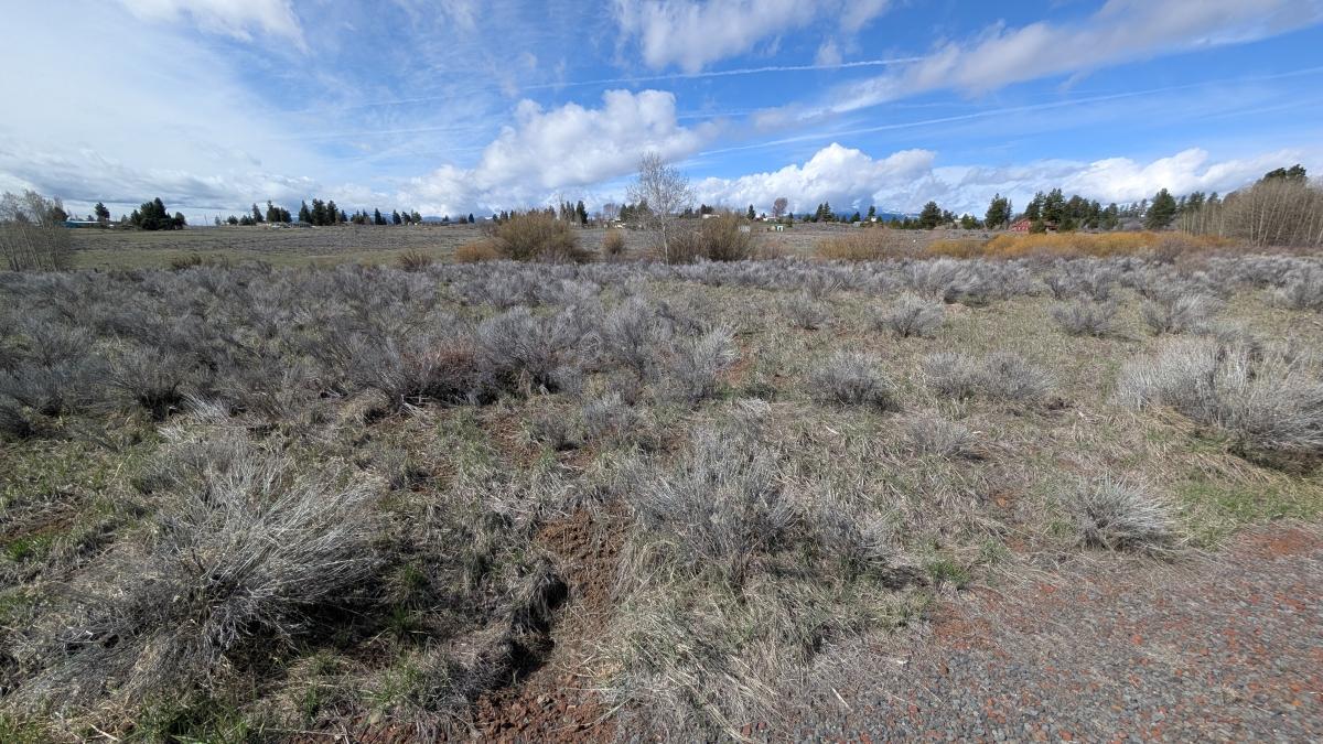 .43 Acres for Sale in Chiloquin, Oregon