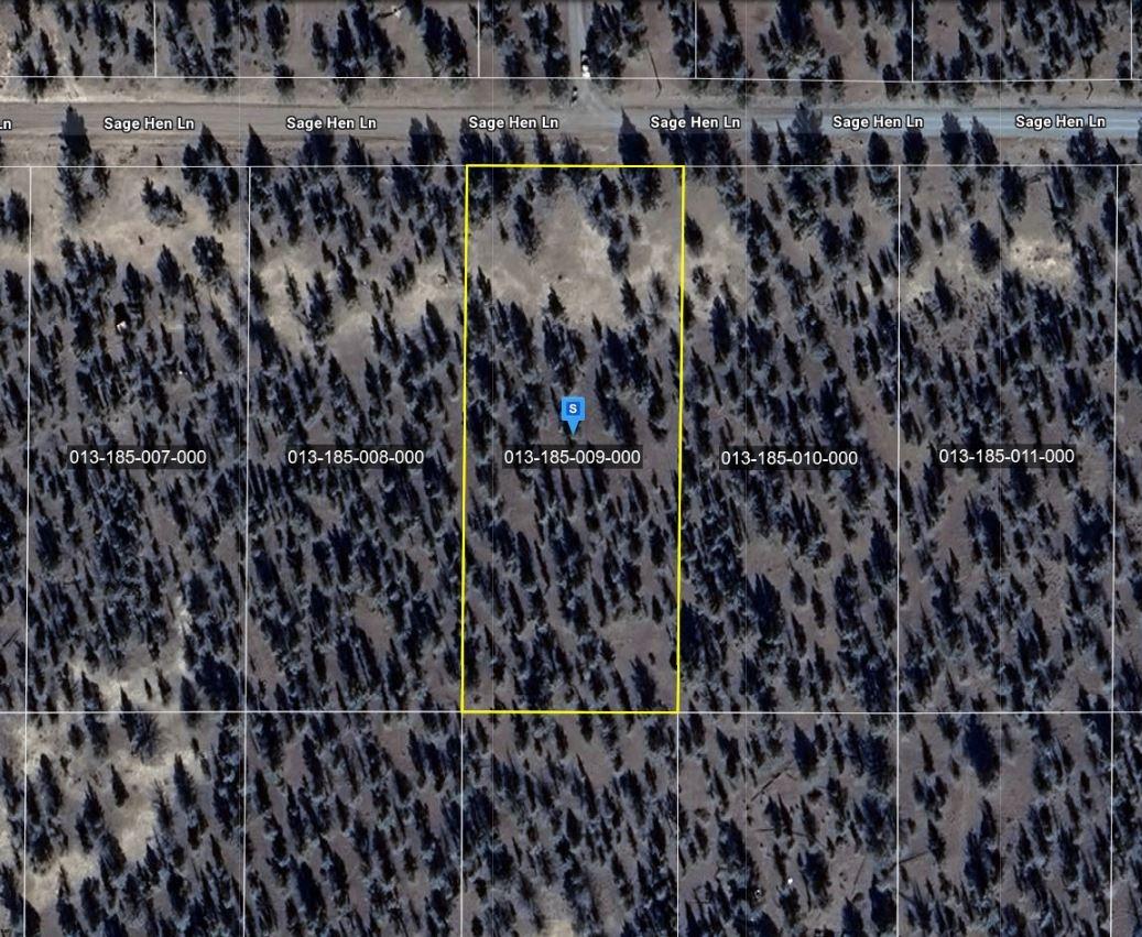 1.47 Acres for Sale in Alturas, California