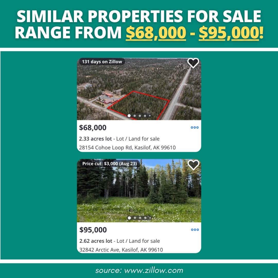 8.59 Acres for Sale in Clam Gulch, Alaska