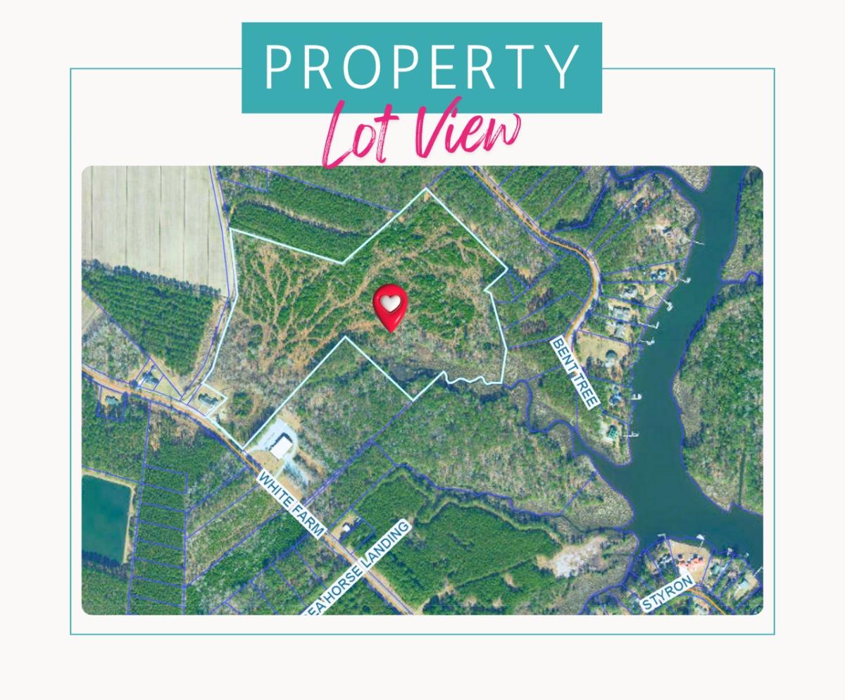 37.2 Acres for Sale in Oriental, North Carolina