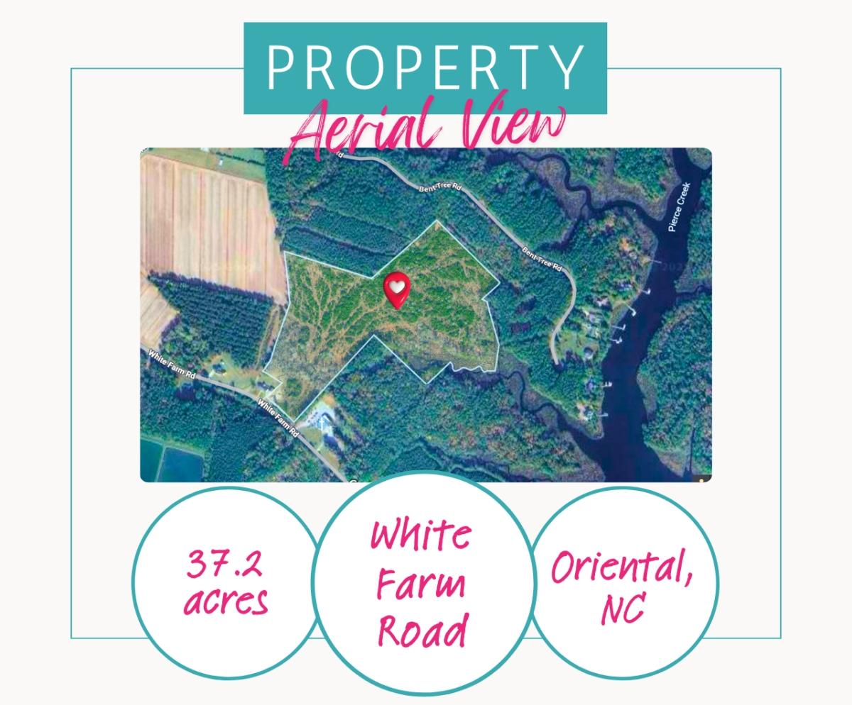 37.2 Acres for Sale in Oriental, North Carolina