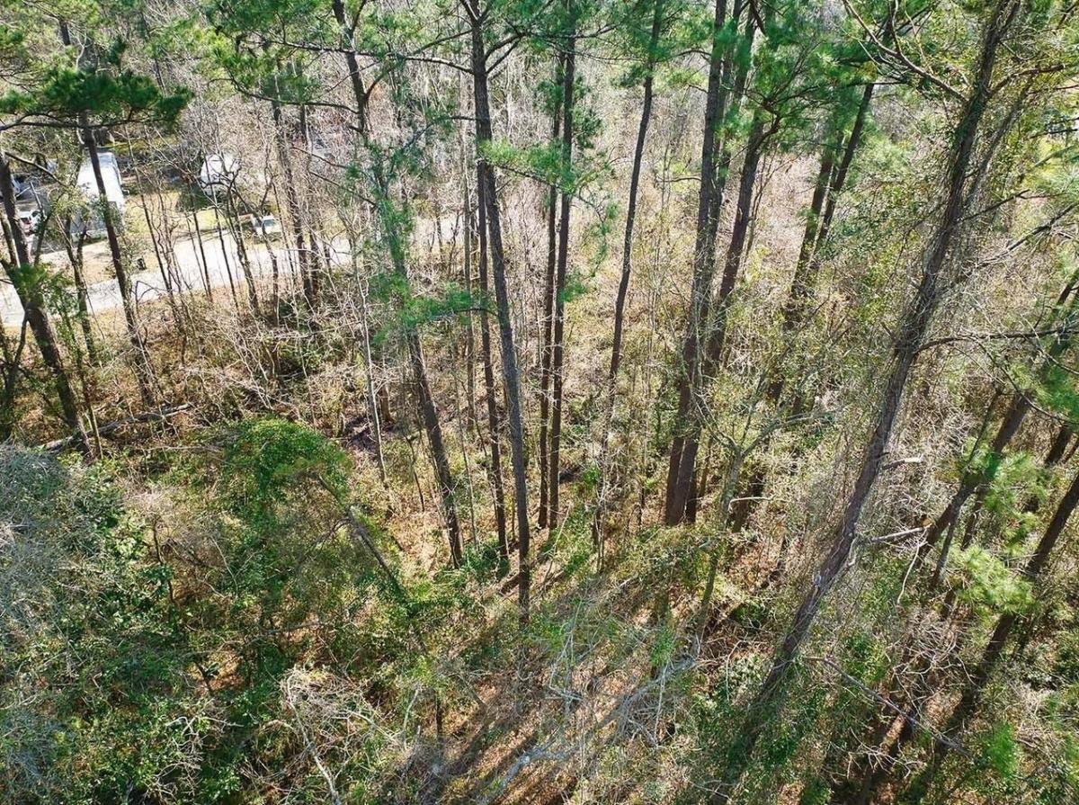 1.01 Acres for Sale in Greenville, Florida