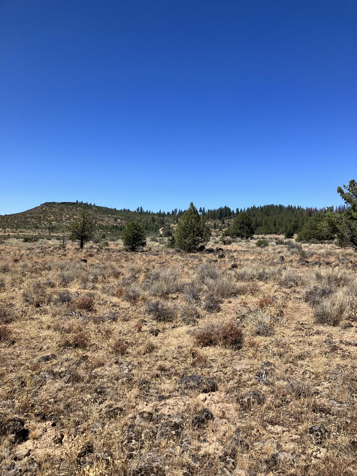 1.38 Acres for Sale in Chiloquin, Oregon