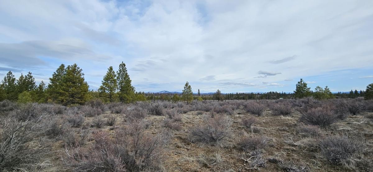 1.9 Acres for Sale in Chiloquin, Oregon