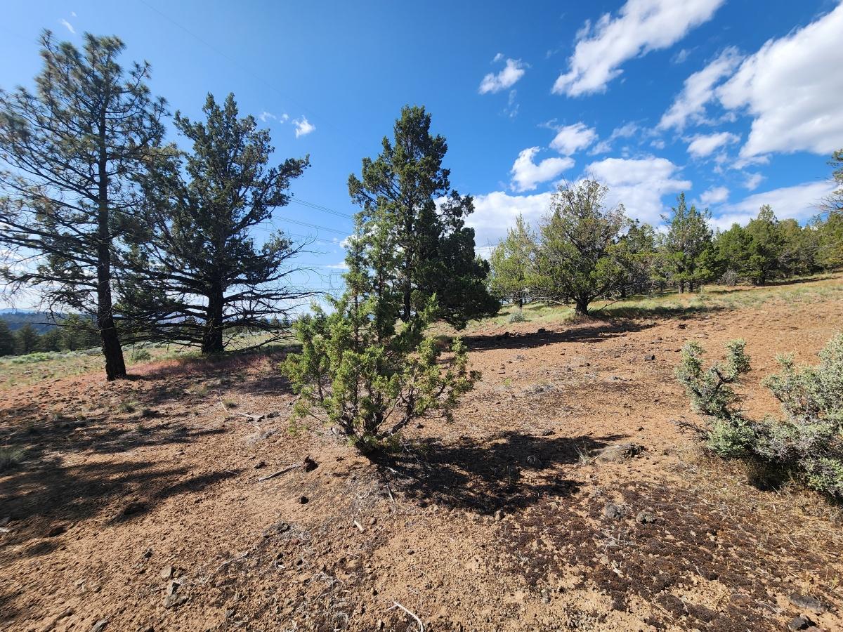 3.22 Acres for Sale in Beatty, Oregon