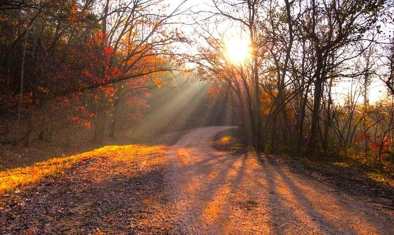 0.21 Acres for Sale in Iconium, Missouri