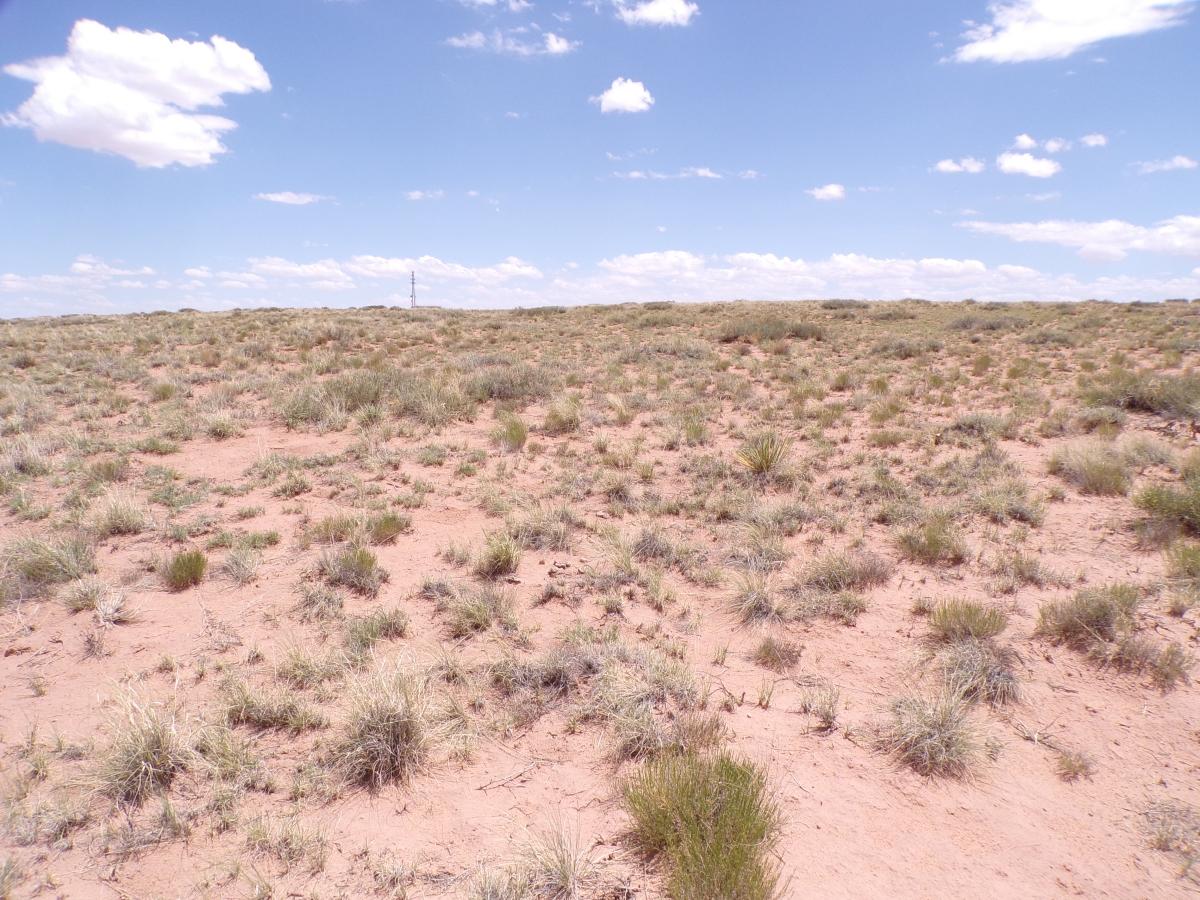 1.75 Acres for Sale in Sun Valley, Arizona