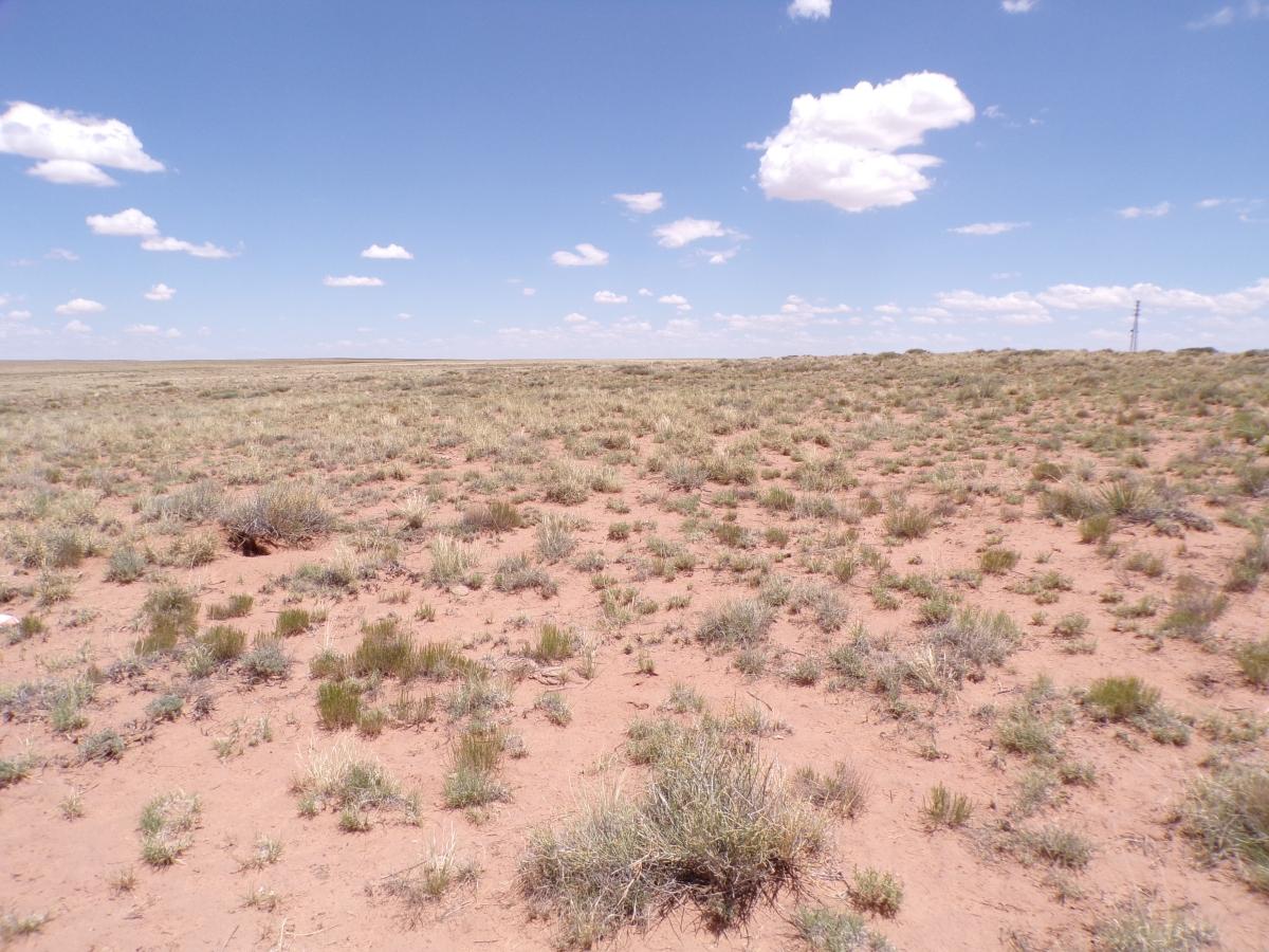 1.75 Acres for Sale in Sun Valley, Arizona