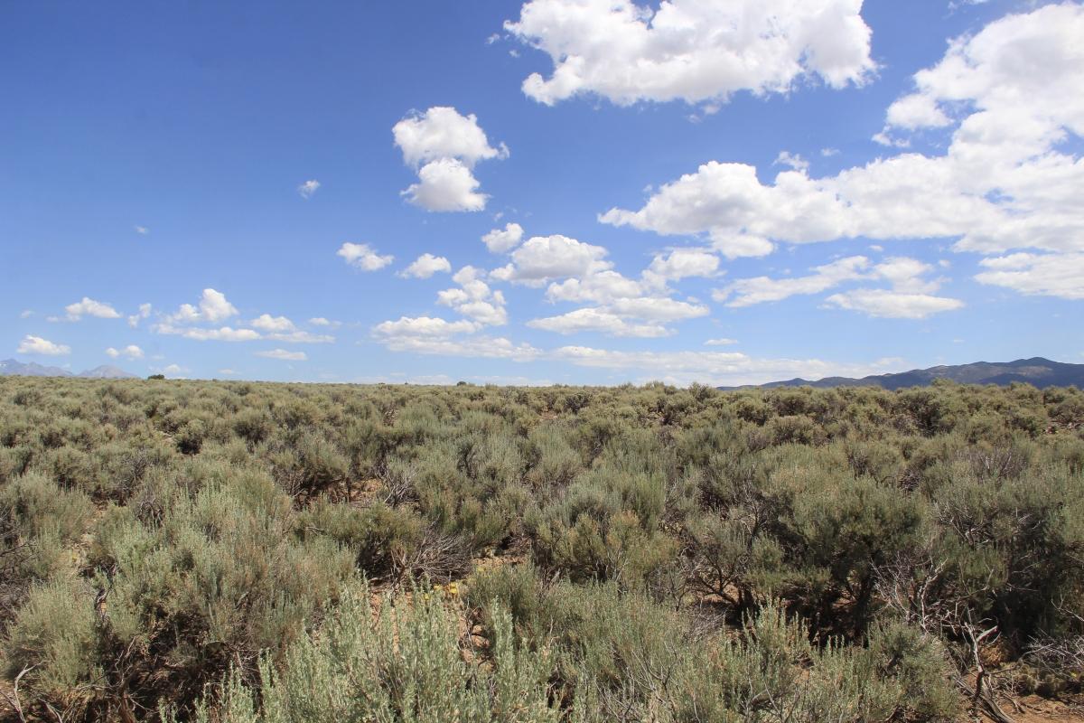 5.11 Acres for Sale in San Luis, Colorado