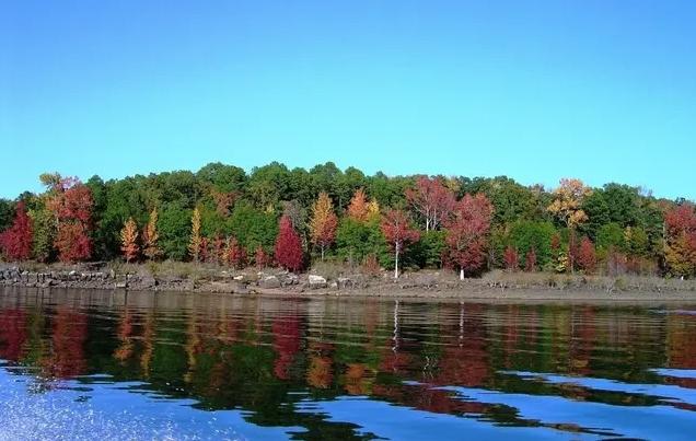 0.43 Acres for Sale in Williford, Arkansas
