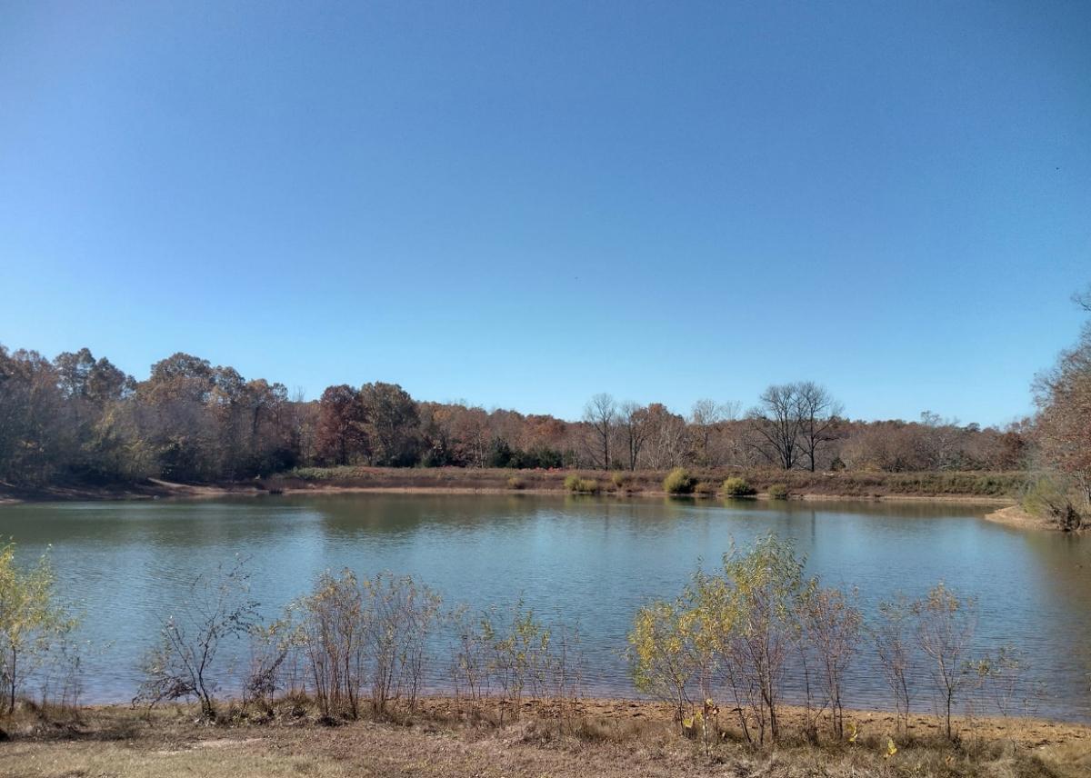 0.43 Acres for Sale in Williford, Arkansas