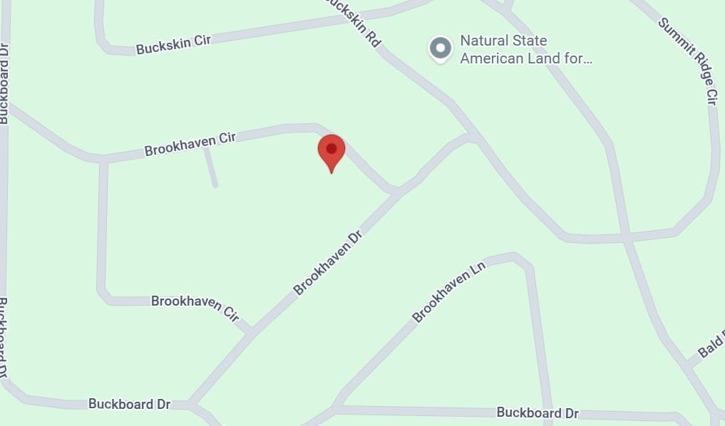 0.3 Acres for Sale in Williford, Arkansas