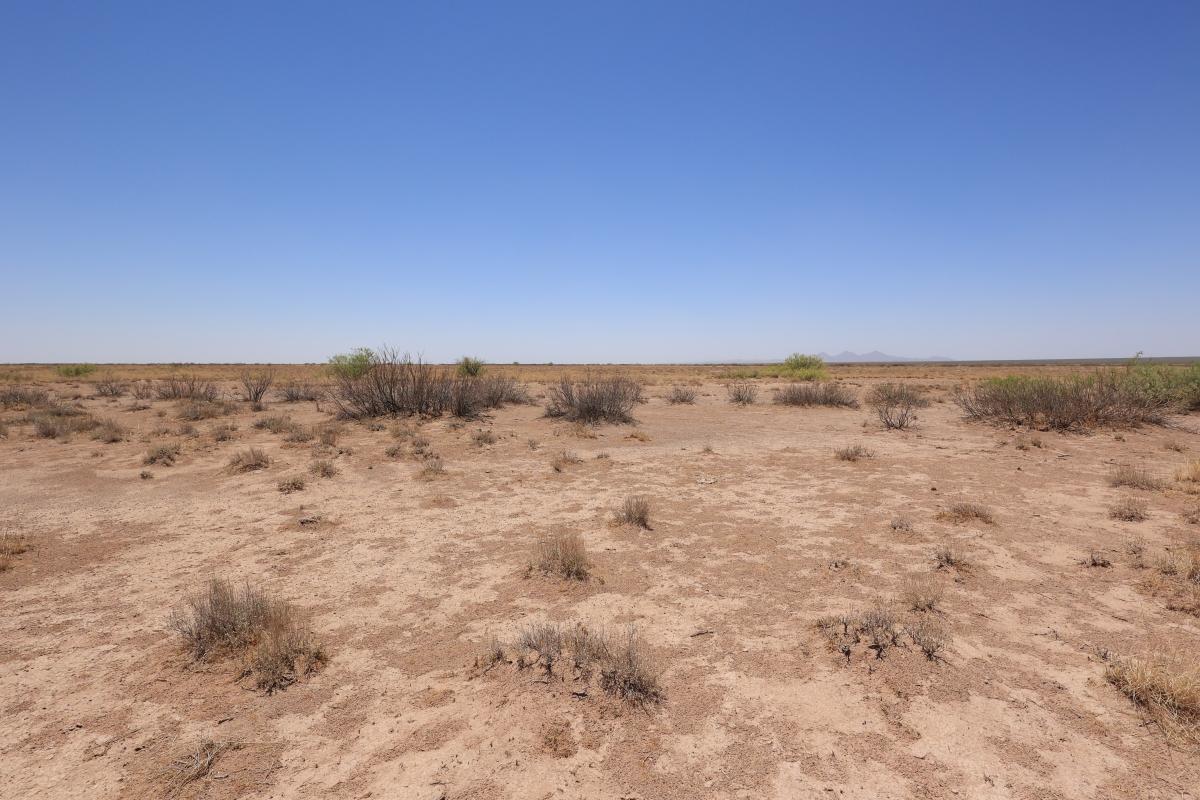 0.5 Acres for Sale in Valencia, New Mexico