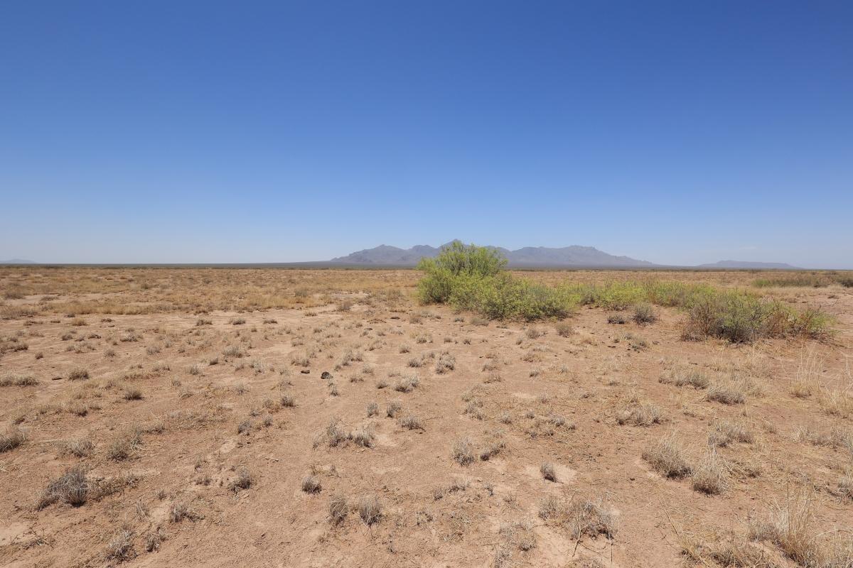 0.5 Acres for Sale in Valencia, New Mexico