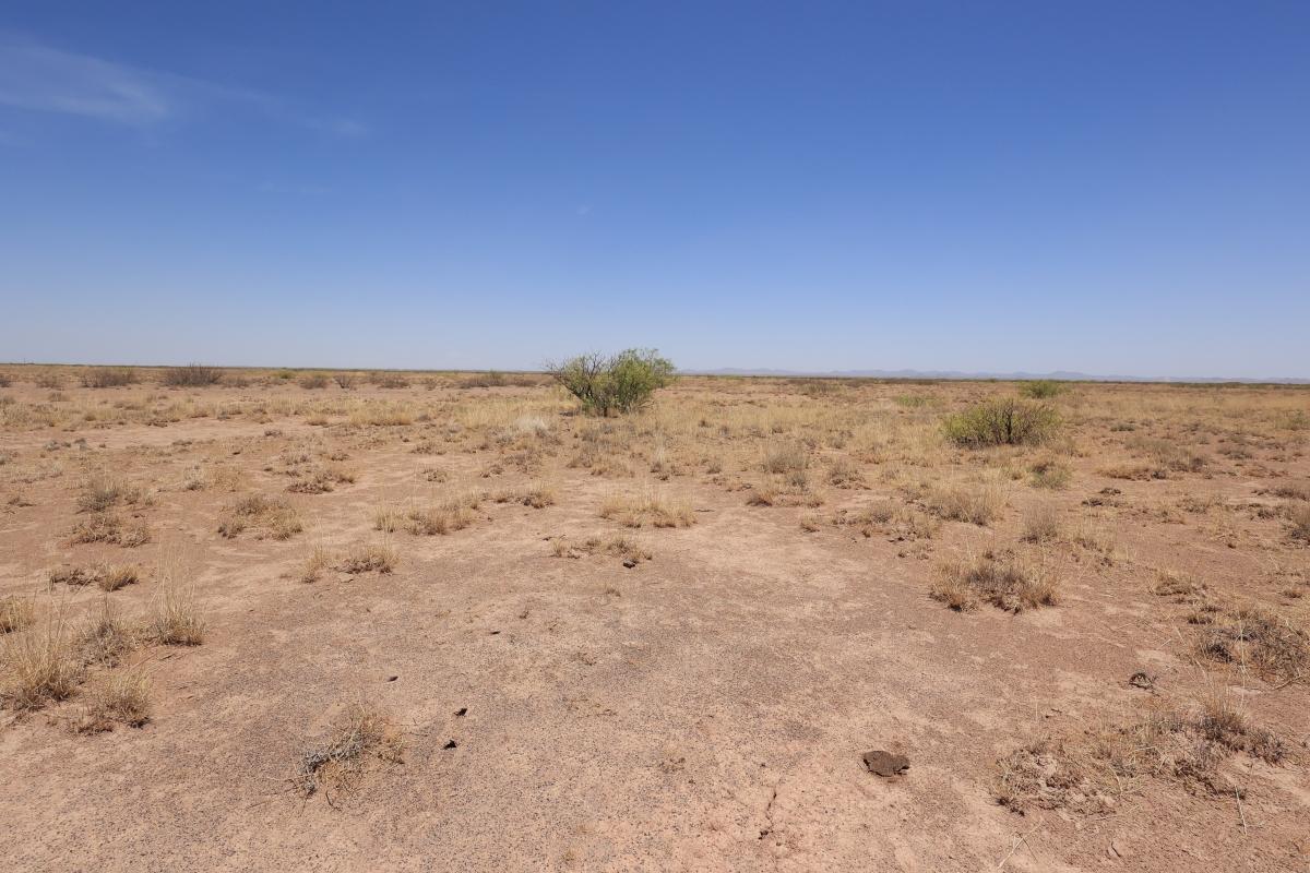 0.5 Acres for Sale in Valencia, New Mexico