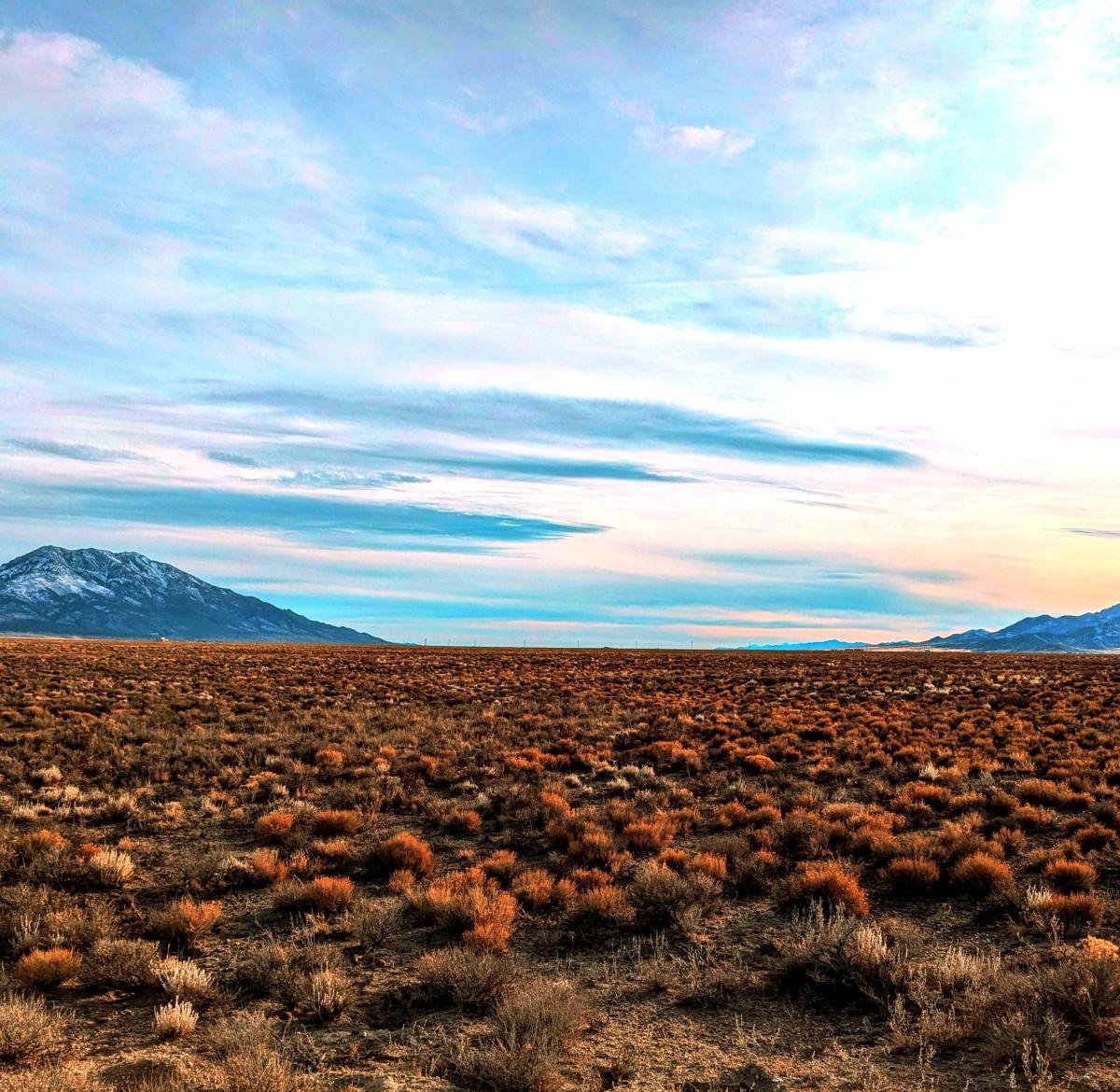 40 Acres for Sale in Montello, Nevada