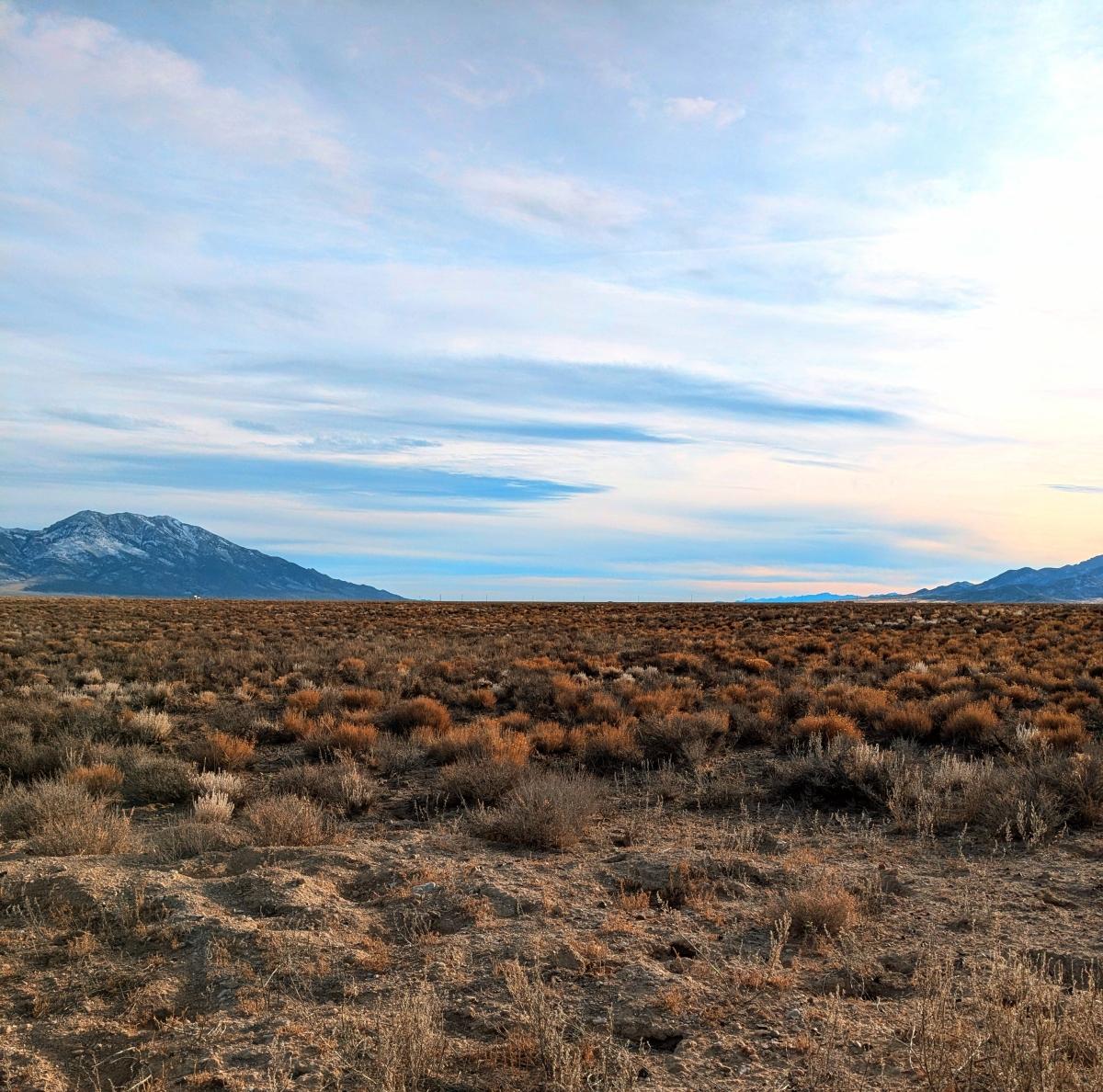 40 Acres for Sale in Montello, Nevada