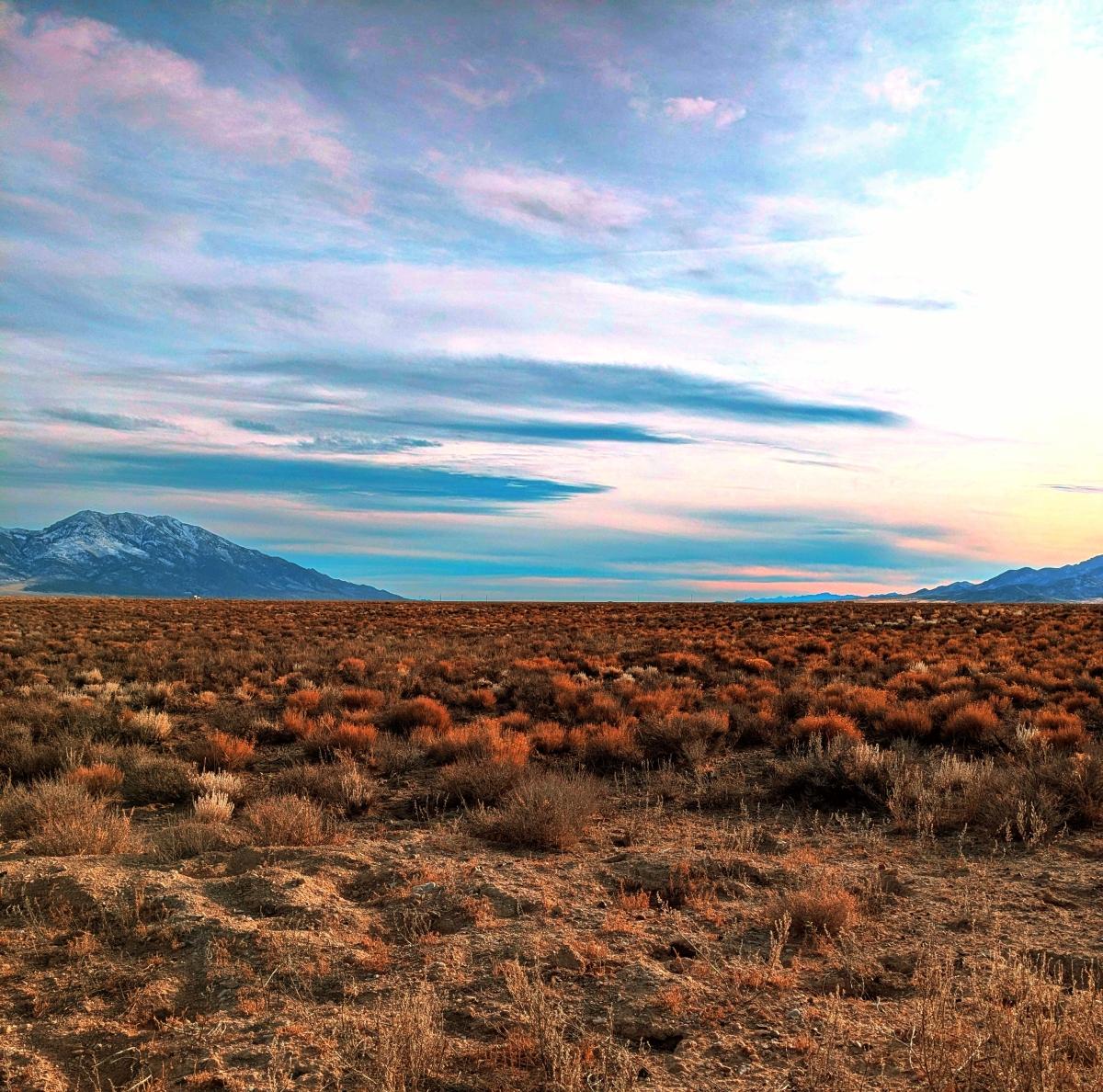 40 Acres for Sale in Montello, Nevada