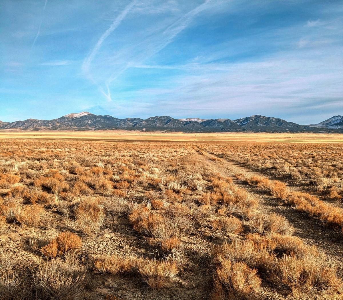 40 Acres for Sale in Montello, Nevada