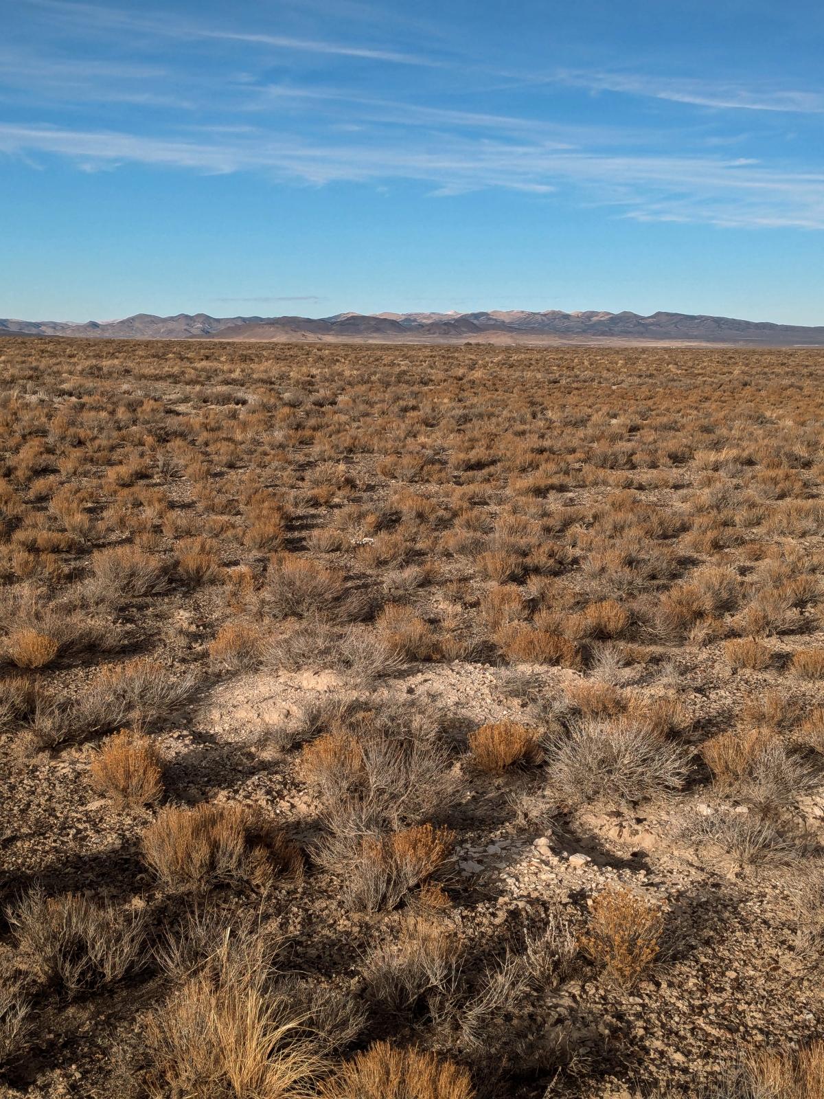 40 Acres for Sale in Montello, Nevada