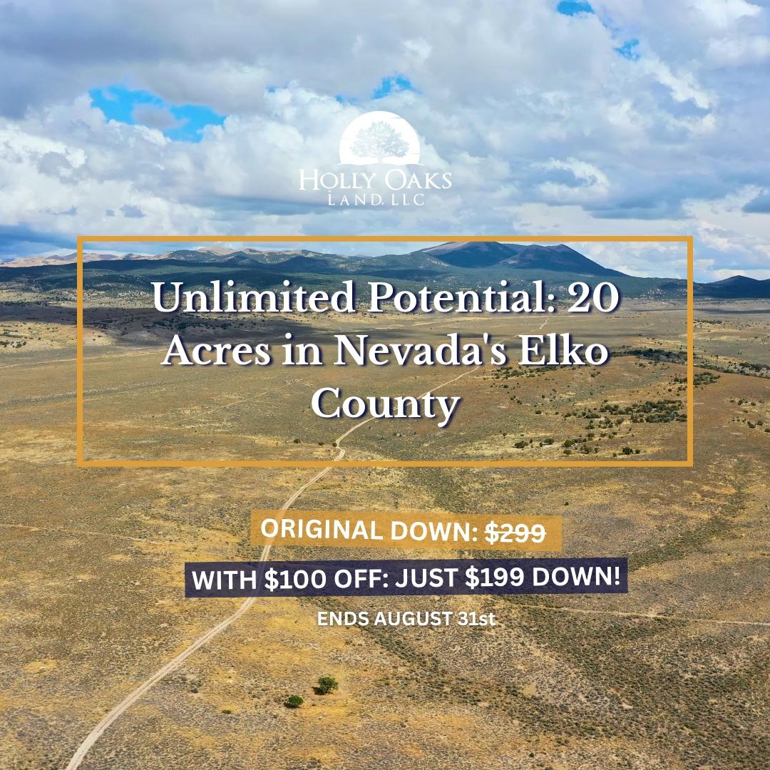 20 Acres for Sale in Ryndon, Nevada
