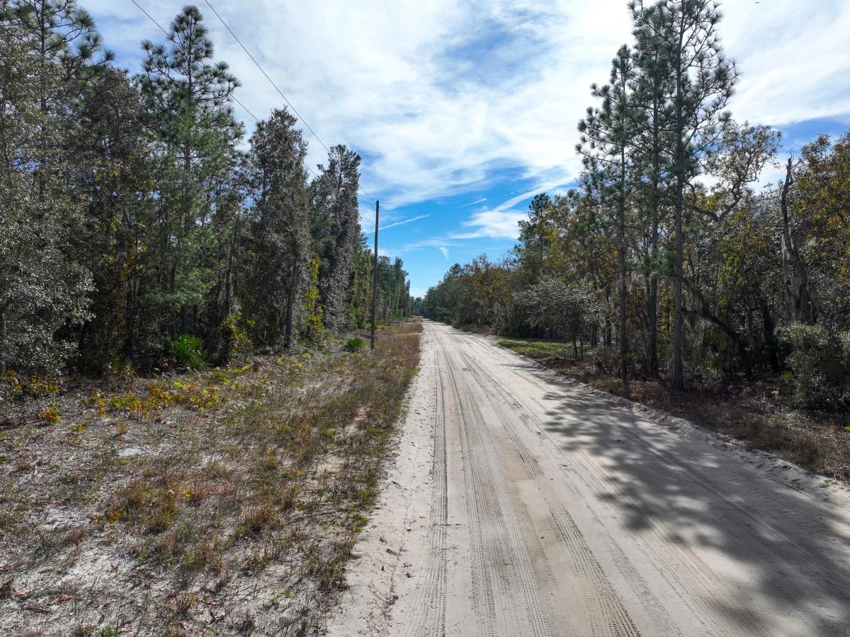 0.25 Acres for Sale in Florahome, Florida