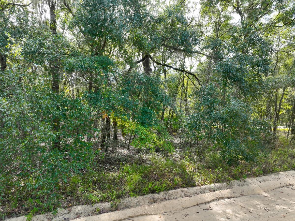0.25 Acres for Sale in Florahome, Florida