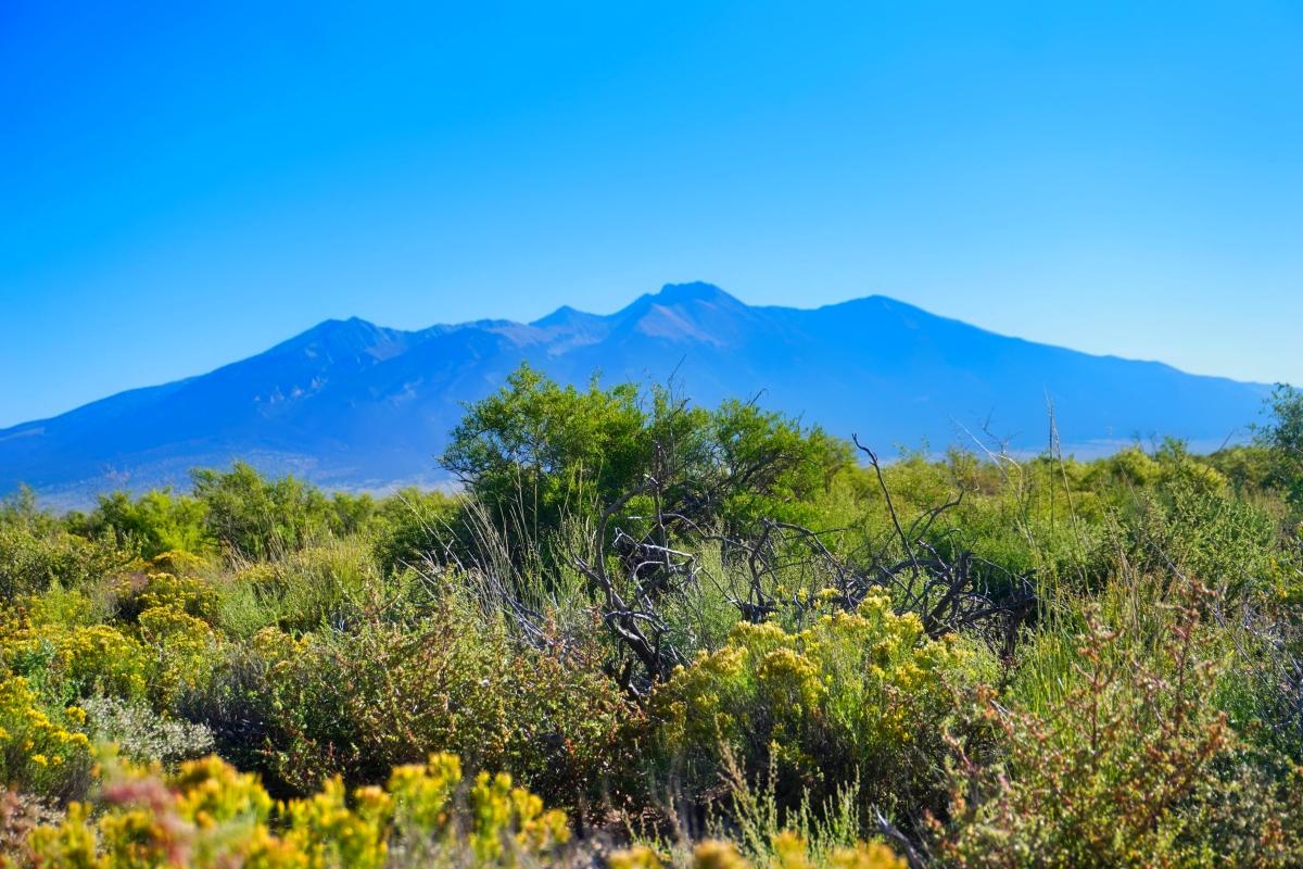 1.27 Acres for Sale in Alamosa, Colorado