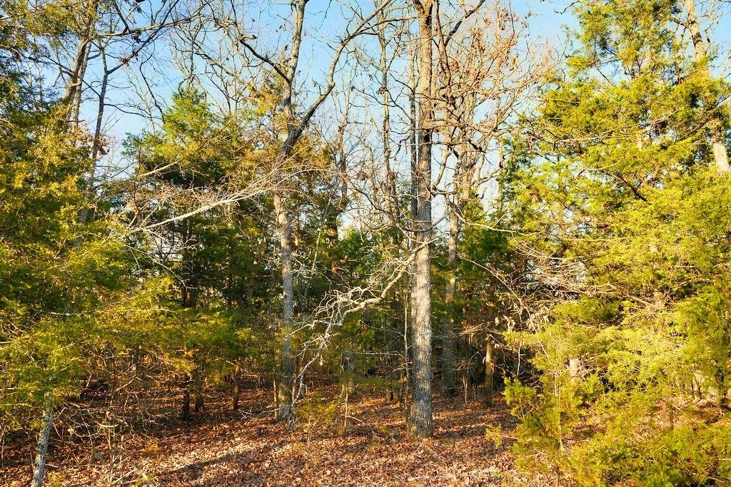 0.29 Acres for Sale in Horseshoe Bend, Arkansas
