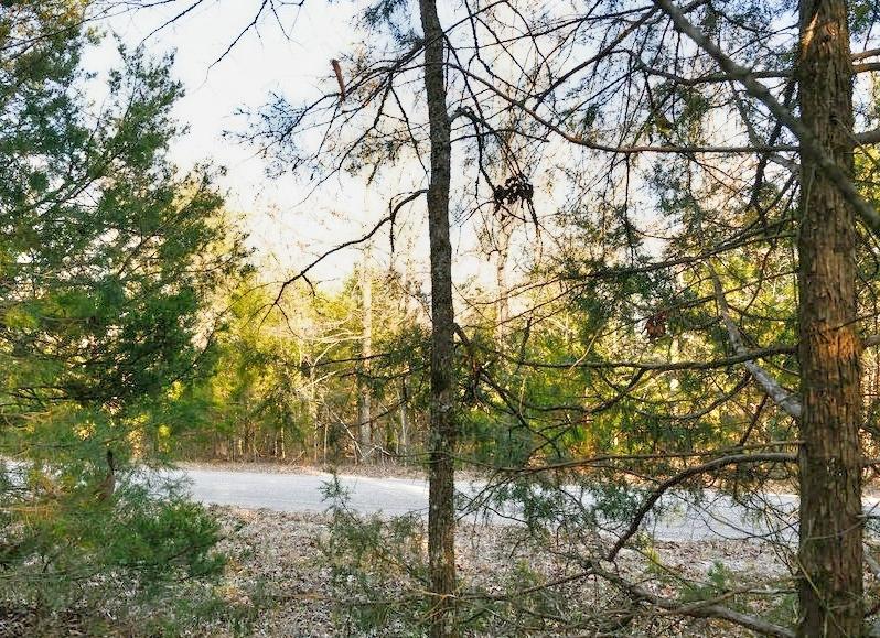 0.29 Acres for Sale in Horseshoe Bend, Arkansas