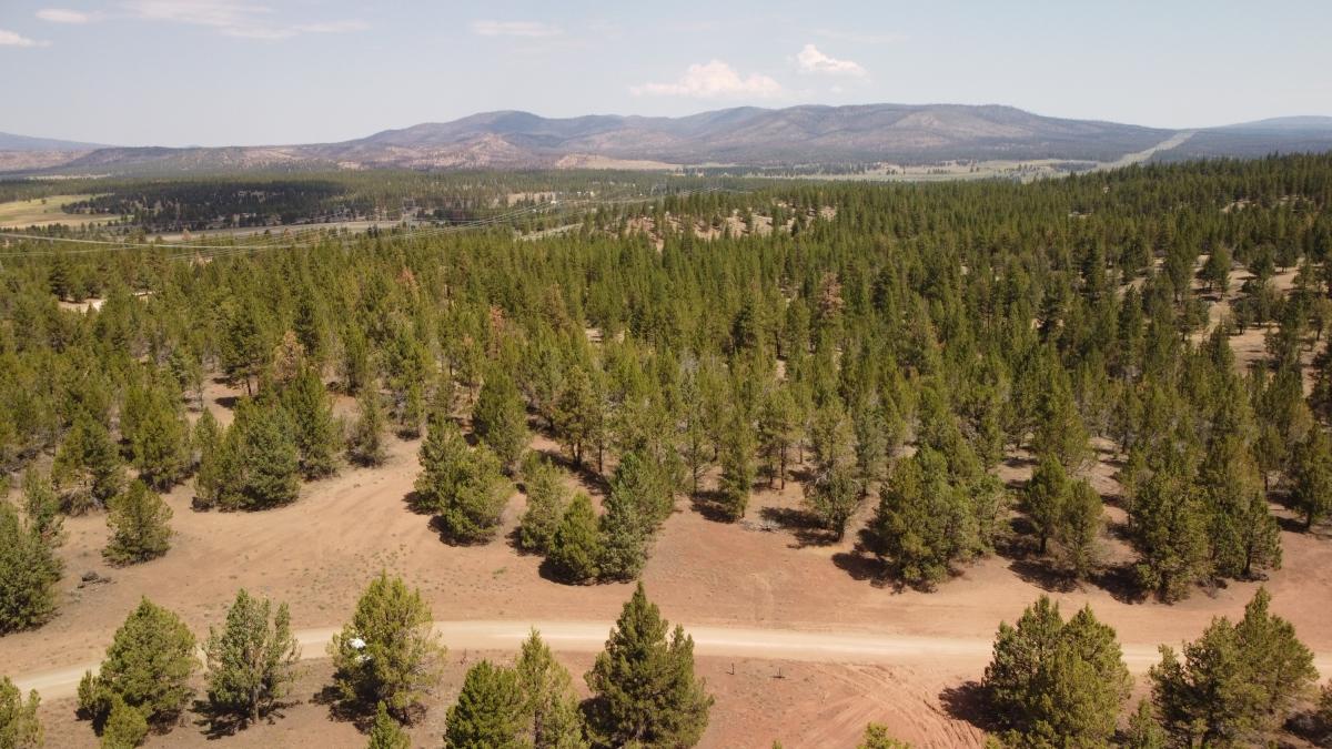 1.49 Acres for Sale in Beatty, Oregon