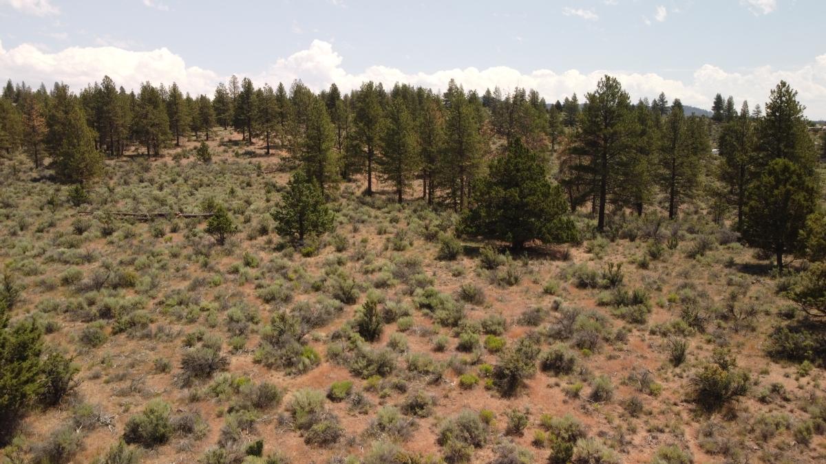 1.49 Acres for Sale in Beatty, Oregon