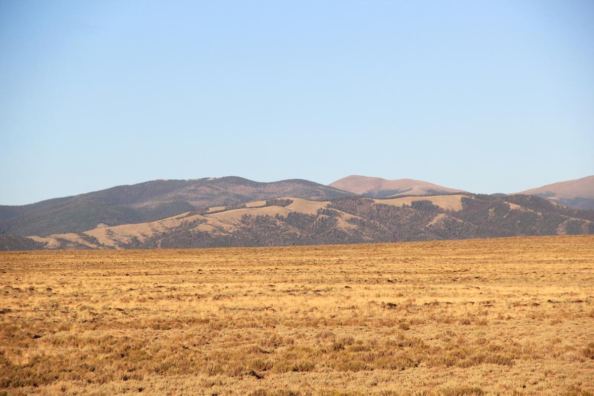 5 Acres for Sale in Blanca, Colorado