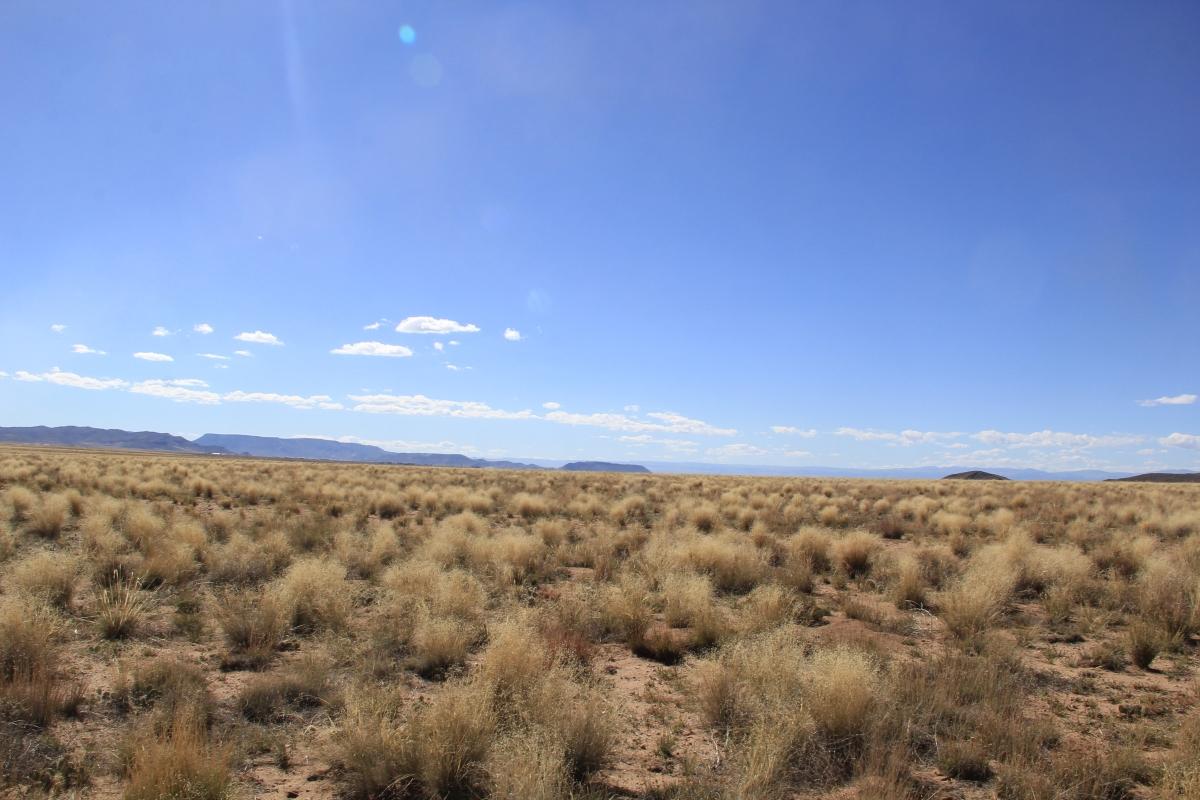 5 Acres for Sale in Blanca, Colorado