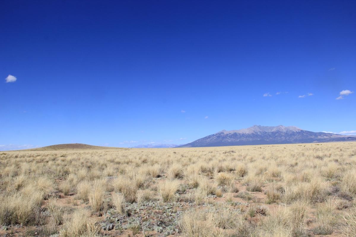 5 Acres for Sale in Blanca, Colorado