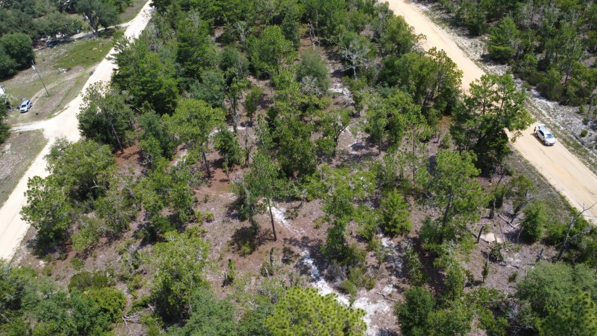 0.22 Acres for Sale in Interlachen, Florida