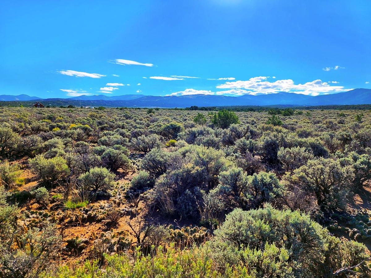 5.07 Acres for Sale in Fort Garland, Colorado