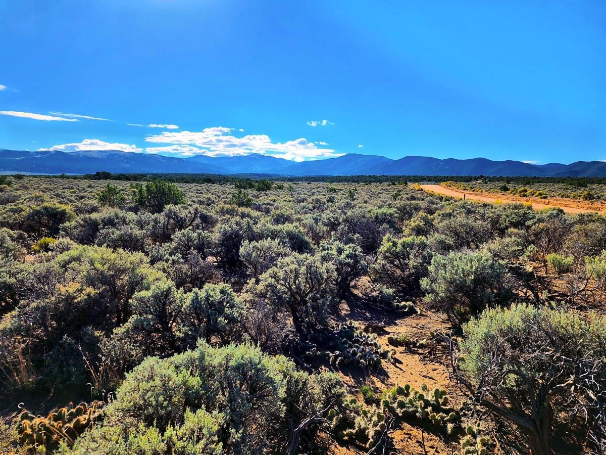 5.07 Acres for Sale in Fort Garland, Colorado
