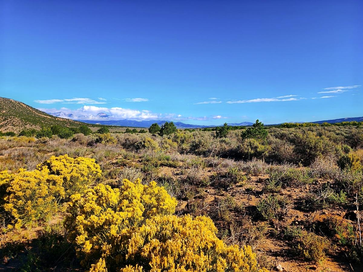 5.07 Acres for Sale in Fort Garland, Colorado