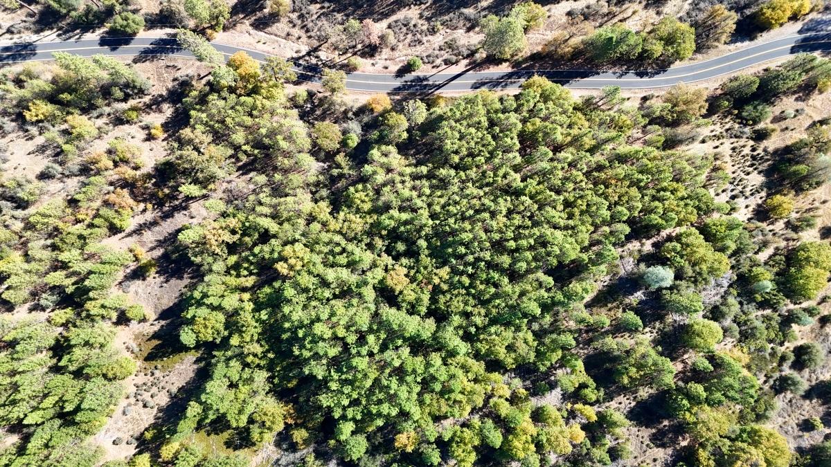 34.47 Acres for Sale in Mokelumne Hill, California