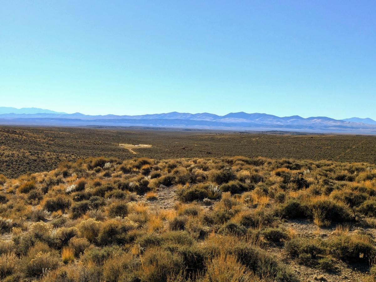 40 Acres for Sale in Wells, Nevada