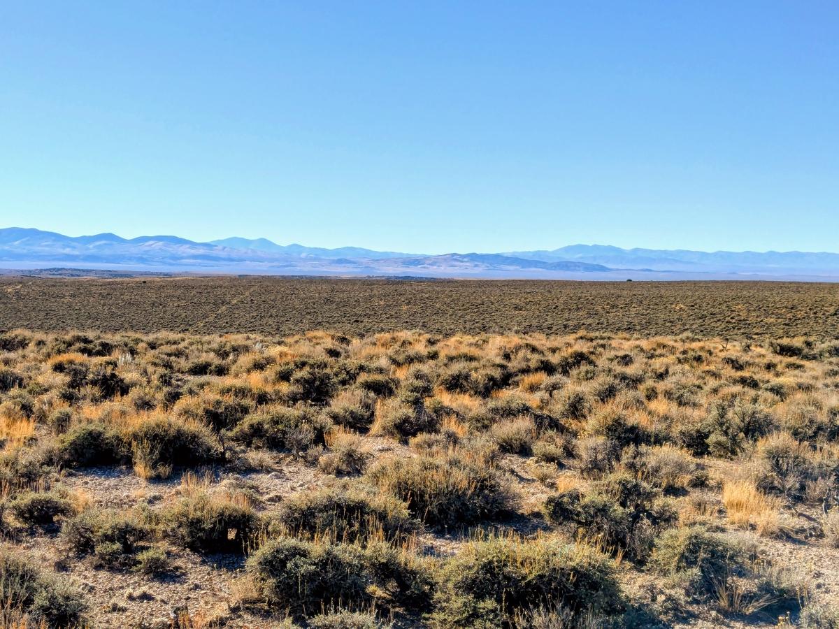 40 Acres for Sale in Wells, Nevada