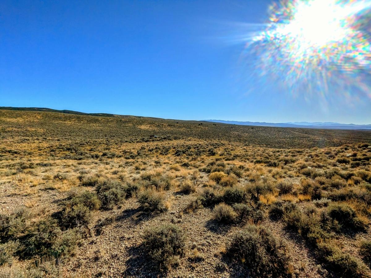 40 Acres for Sale in Wells, Nevada