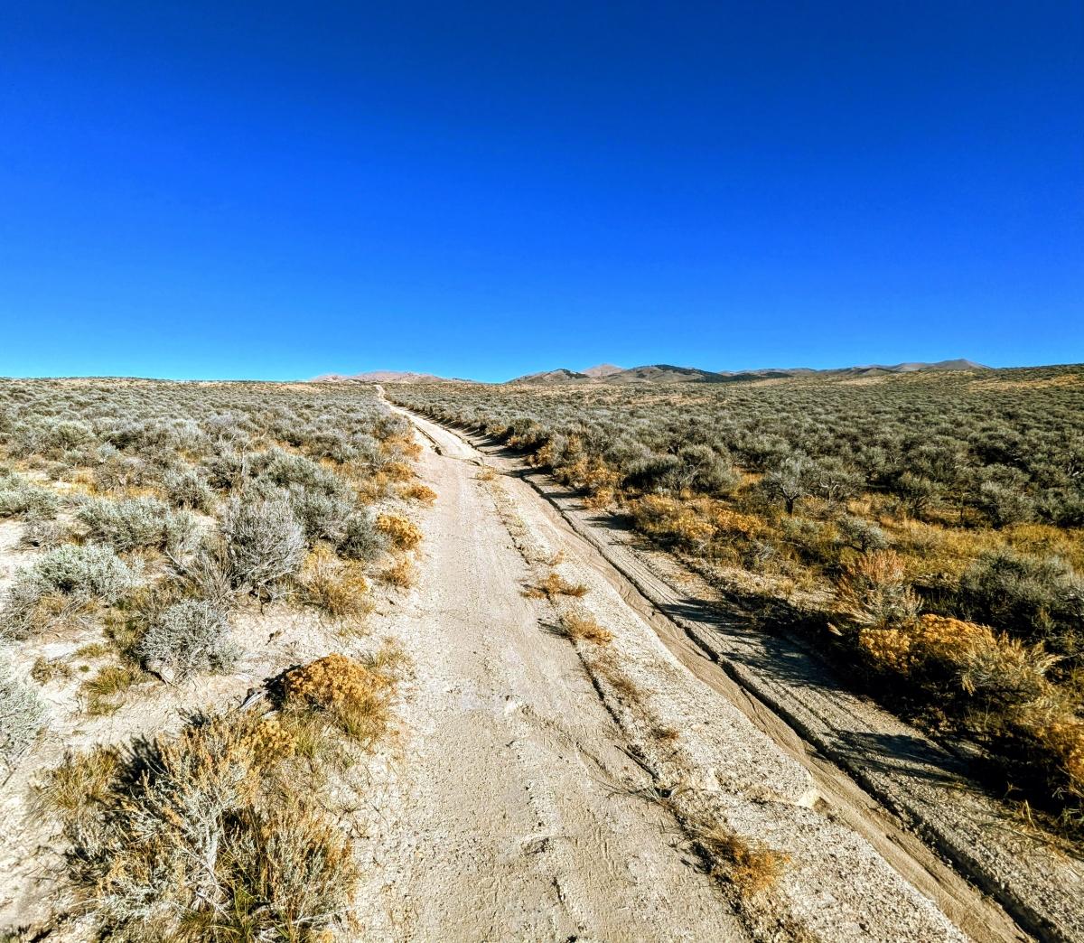 40 Acres for Sale in Wells, Nevada