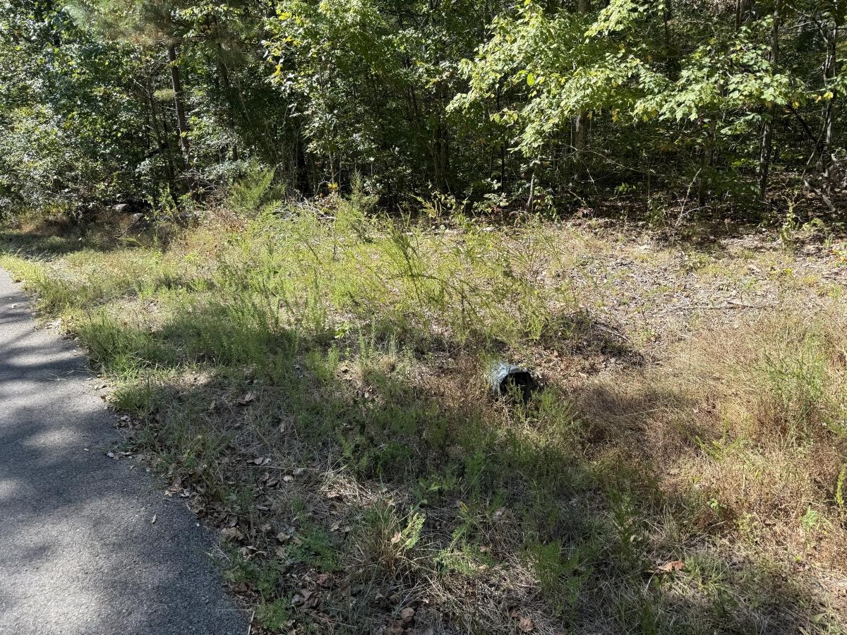 0.17 Acres for Sale in New Concord, Kentucky