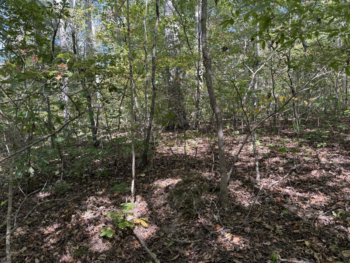 0.17 Acres for Sale in New Concord, Kentucky