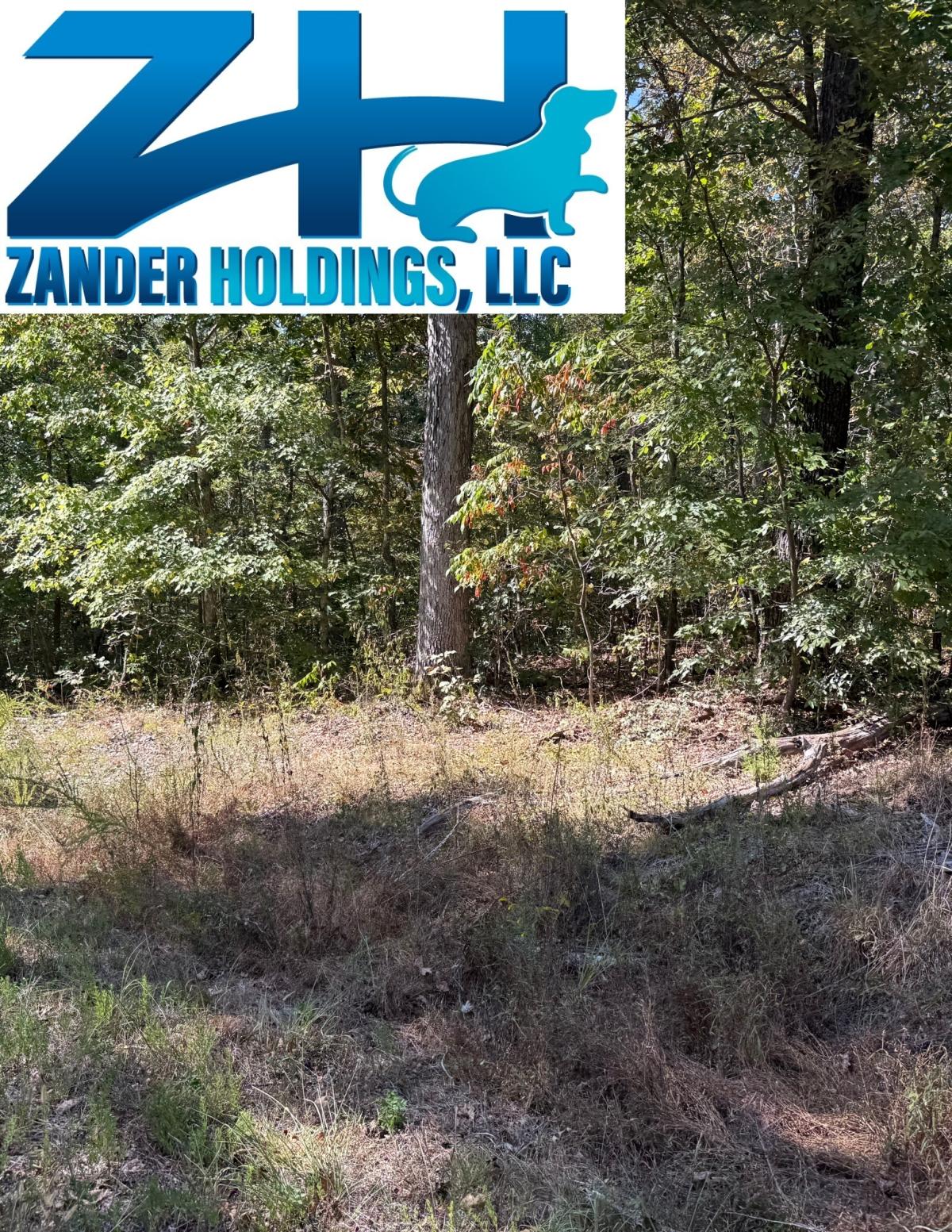 0.17 Acres for Sale in New Concord, Kentucky