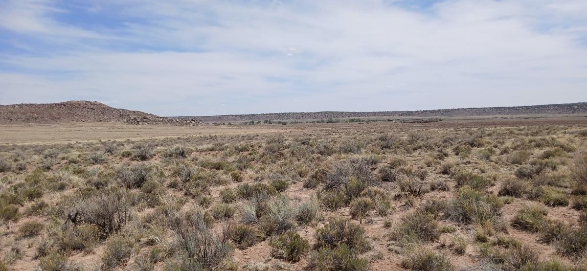 1.58 Acres for Sale in Chambers, Arizona